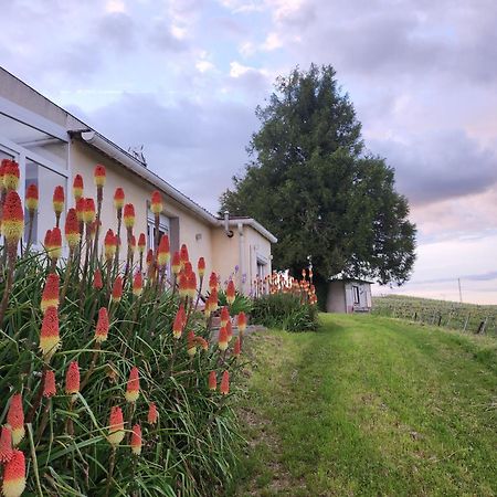 Ferienwohnung L'Echappee Bulles Épernay Exterior foto